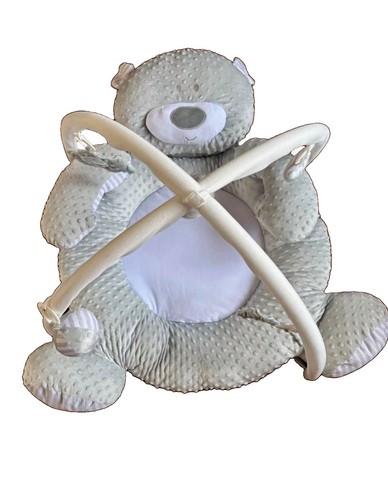 Baby bear play gym