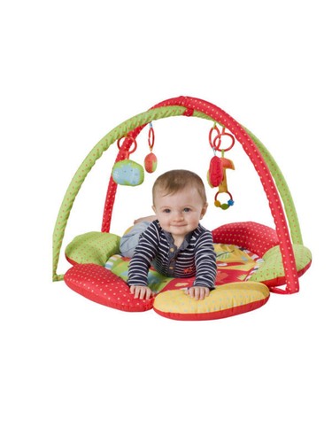 Red kite safari play - –, gym
