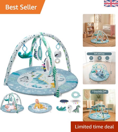 Engaging dinosaur play mat - play,