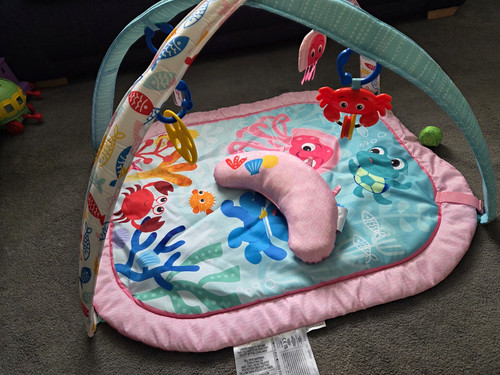 Sea life baby - sea, with